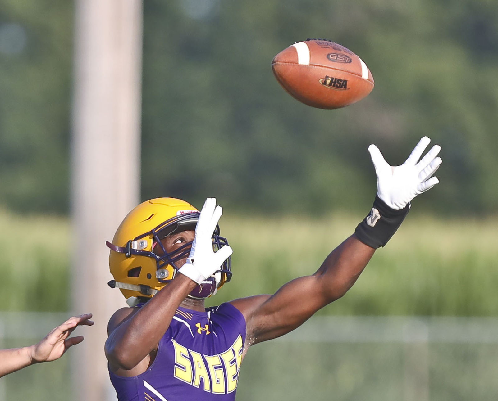 Chris Brown, Monticello